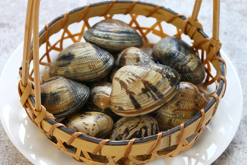 Asari Clams (Little neck Clams) - Frozen (500g)