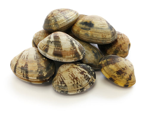 Asari Clams (Little neck Clams) - Frozen (500g)