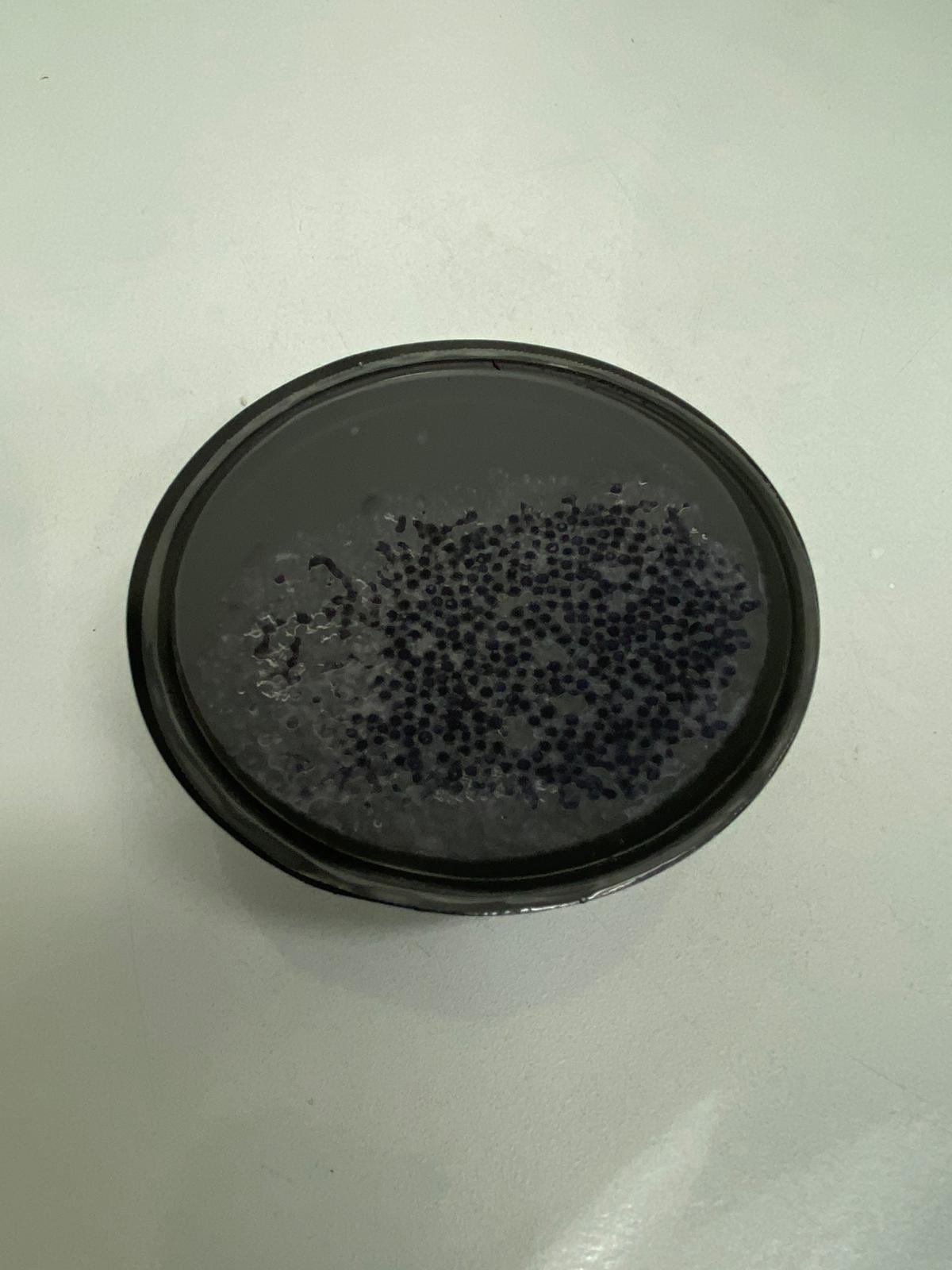 Black Lumpfish Caviar (Black Lumpfish Roe)