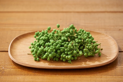 Flash Frozen Nama Sansho, Peppercorn 500g