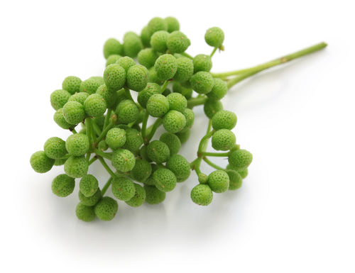 Flash Frozen Nama Sansho, Peppercorn 500g