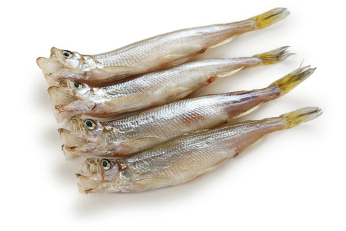 Frozen Japanese Shishamo, Willow Leaf Fish (8pc/pk)