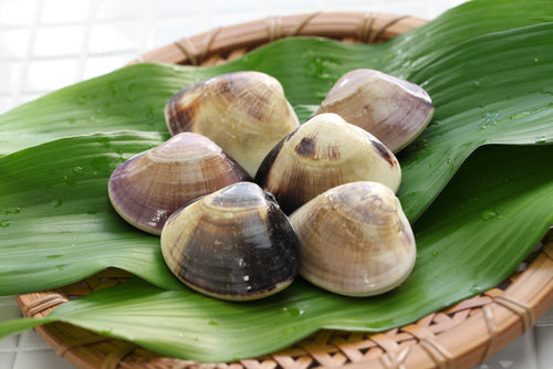 Japanese Hamaguri Clams (Hard Shell Clams) - Frozen (500g)