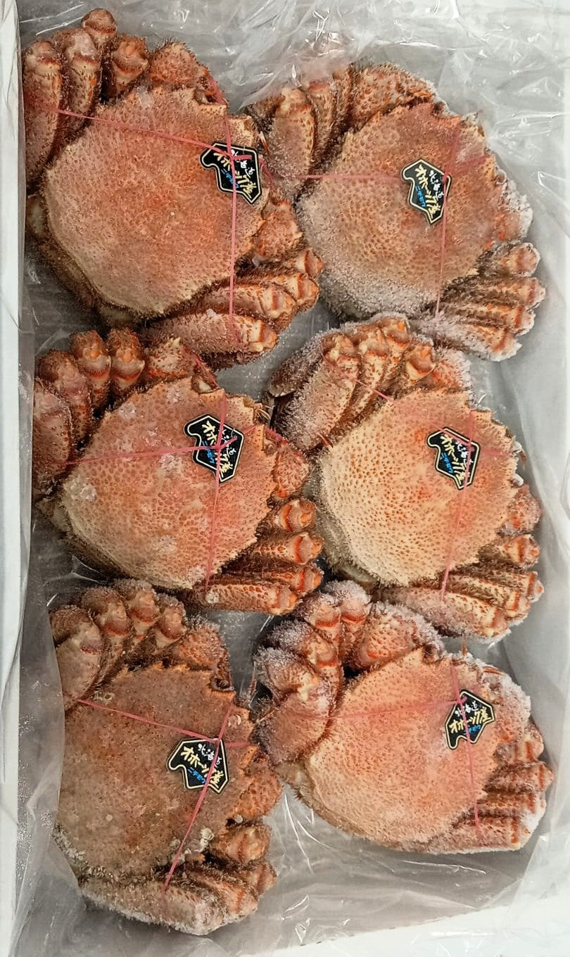 Hokkaido Kegani Crab (Horsehair Crab) 600-700g