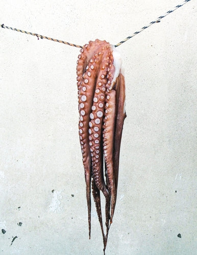 Octopus Leg, Hokkaido Octopus For Sashimi (400G-450G)