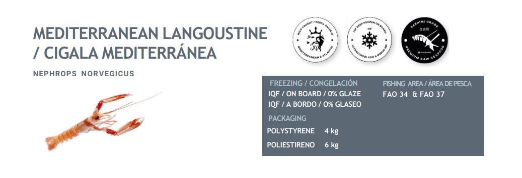 Spanish Giant Scampi – Langoustines 1kg (8/10pcs)