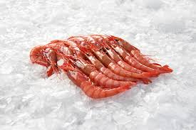 Spanish Atlantic Red Shrimp – Gamba Roja Atlantica (58/64) 800g