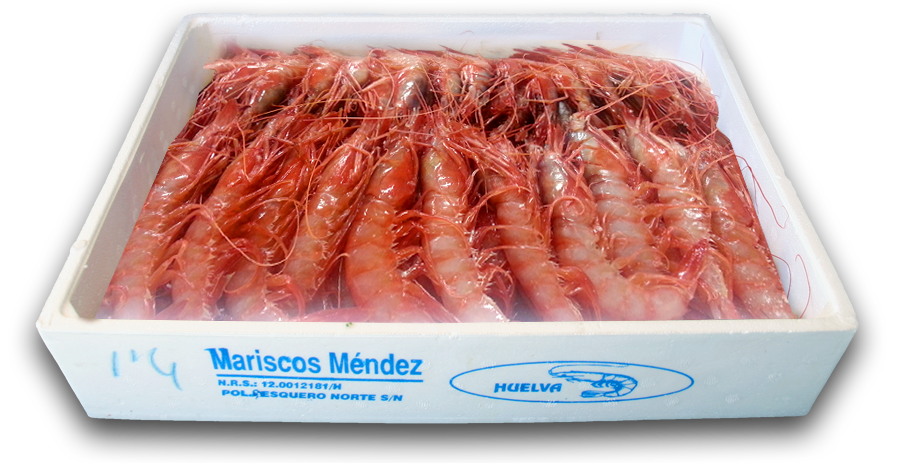Spanish Atlantic Red Shrimp – Gamba Roja Atlantica (58/64) 800g