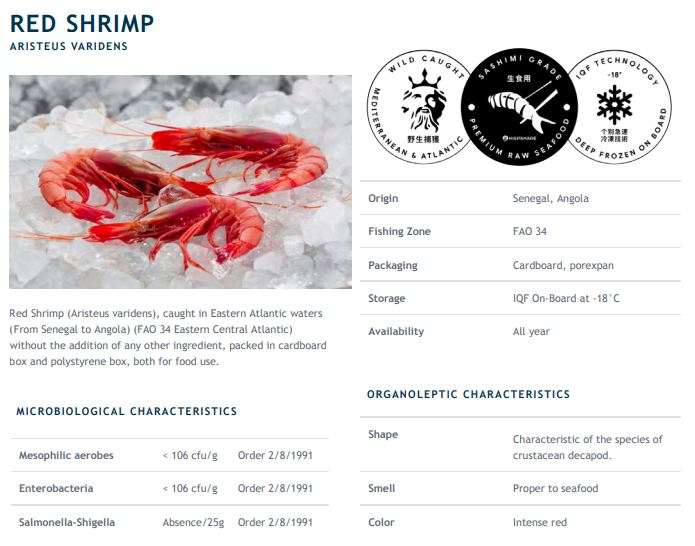 Atlantic Red Shrimp – Gamba Roja Atlantica (25/35)