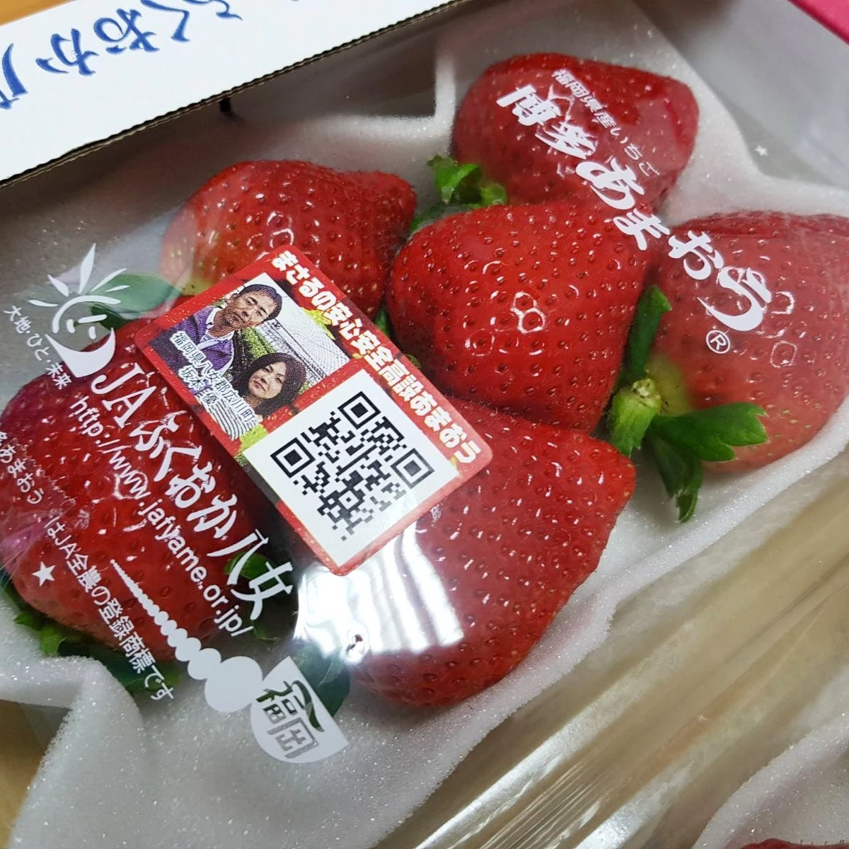 Our Amaou strawberries are specially chosen and flown to us from the various famed Southern farms in the Kyushu Islands. High quality Amaou are ruby red and glisten in the light, the berries are also extremely plump and sweet. They are only available in the winter season so remember to get yours while the season is still at its peak!