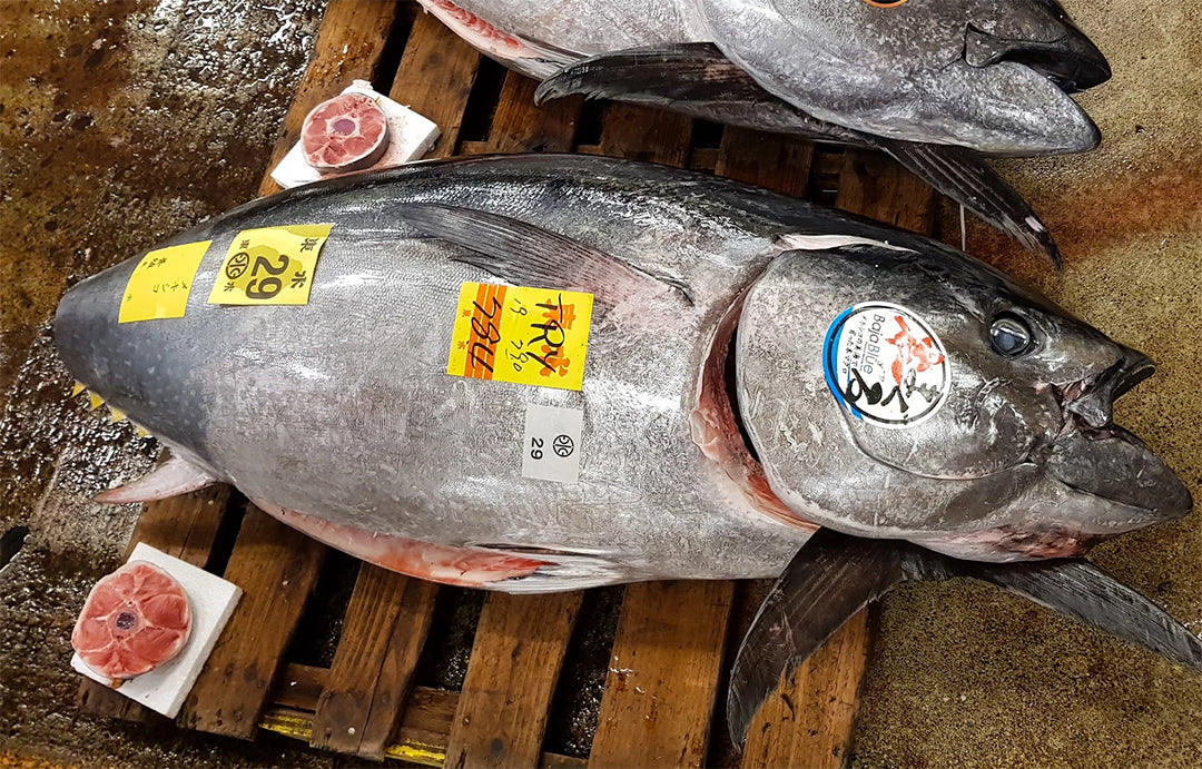 *Pre-Order Only* Bluefin Tuna Loin