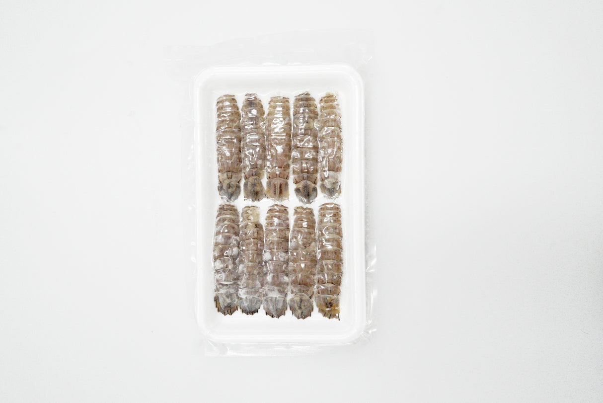 Frozen Mantis Shrimp