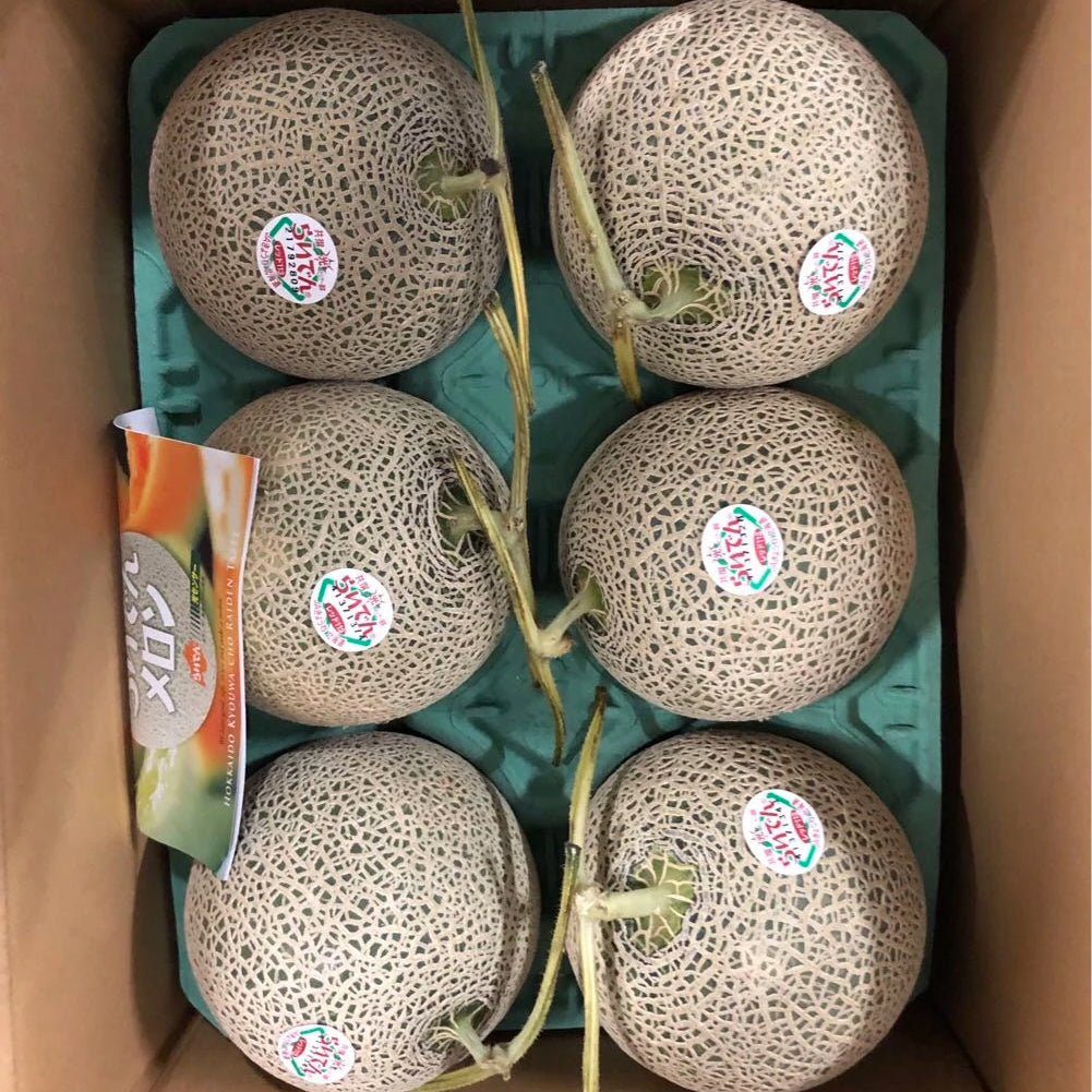 Hokkaido Red Melon