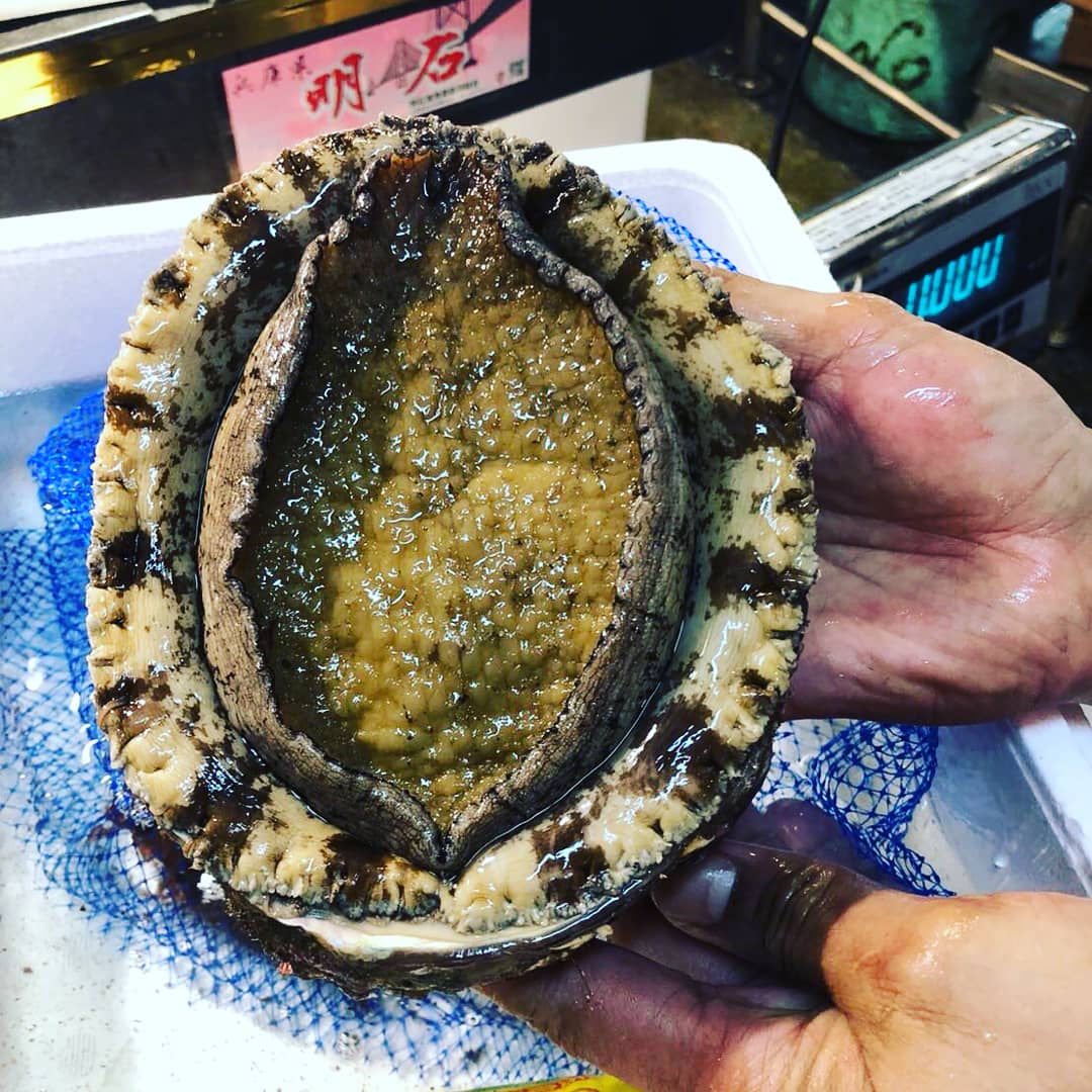 *Pre-Order Only* "Live" Abalone (Awabi)