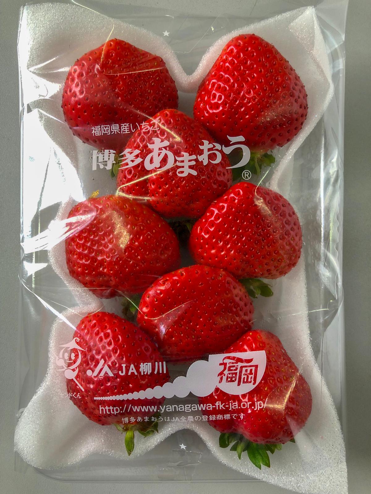 Japanese Strawberry (Ichigo) 苺 いちご