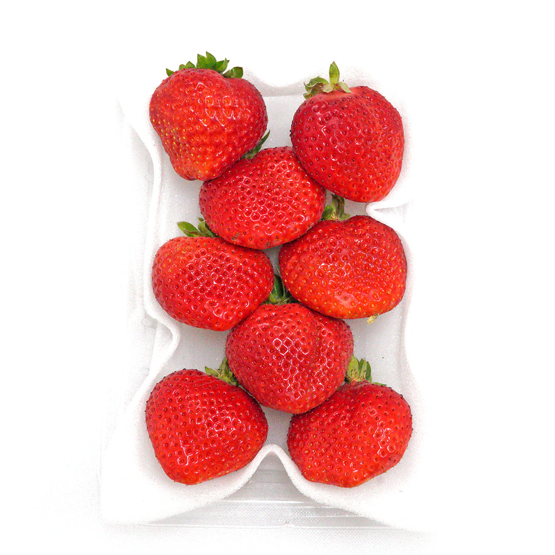 Japanese Strawberry (Ichigo) 苺 いちご