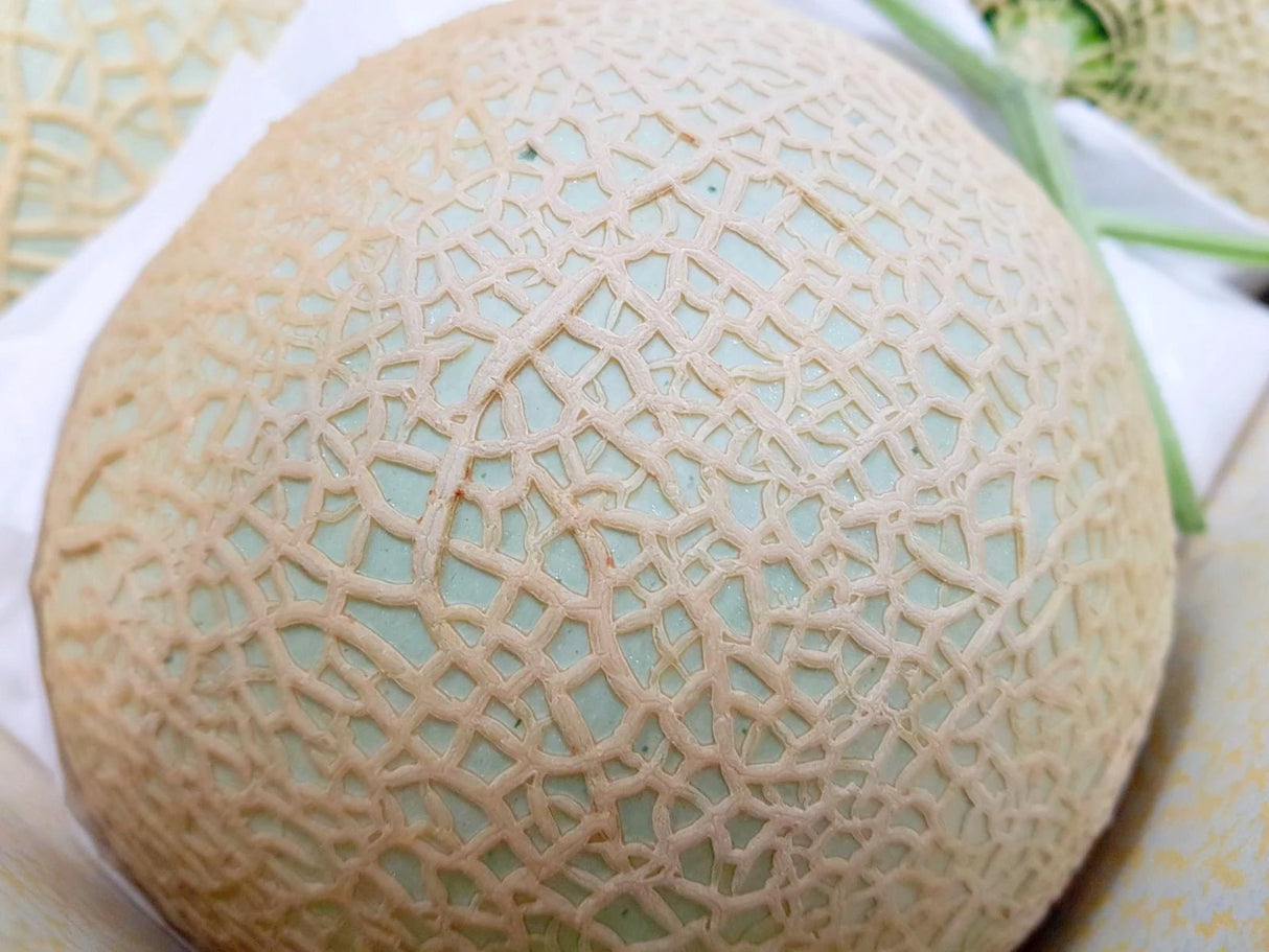 Kyushu Kumamoto Musk Melon マスクメロン