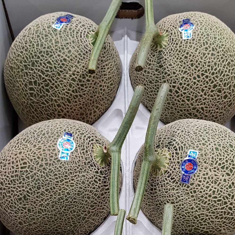 Kyushu Kumamoto Musk Melon マスクメロン