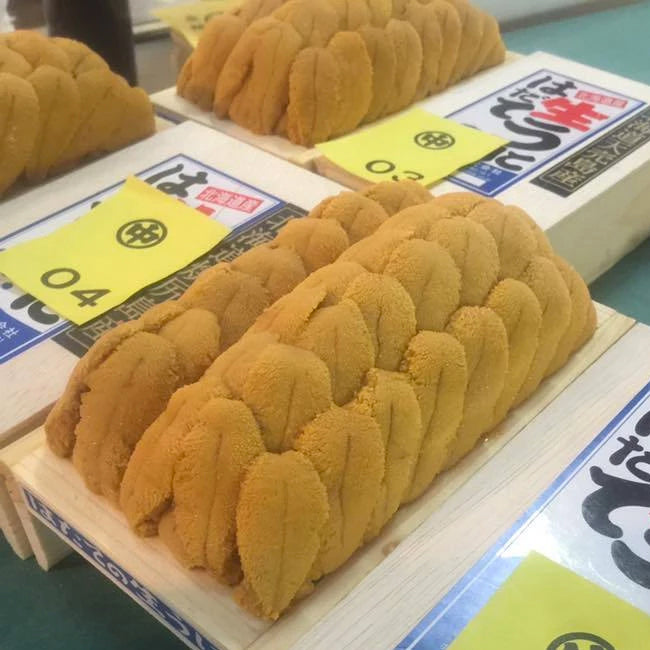 *Pre-Order Only* Murasaki Uni Feathers Premium *Hadate* (A-grade) 350g