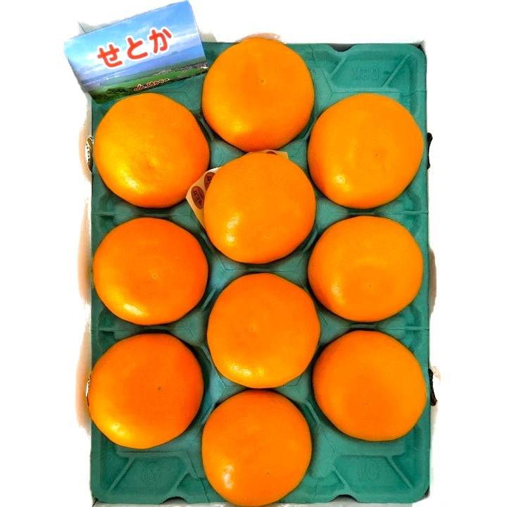 Japanese Mikan Oranges