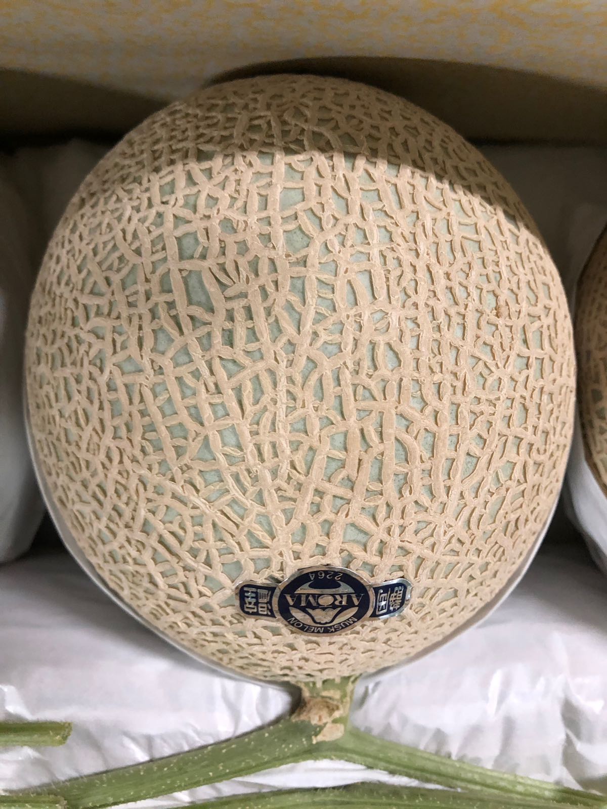 Premium Grade Shizuoka Musk Melon (1.3-1.5kg)