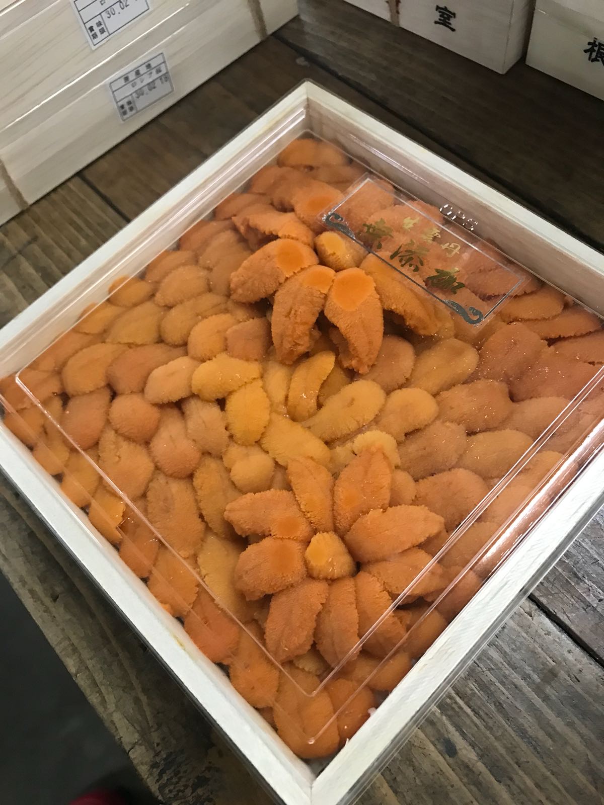 Auction Grade Bafun-uni Special Designs