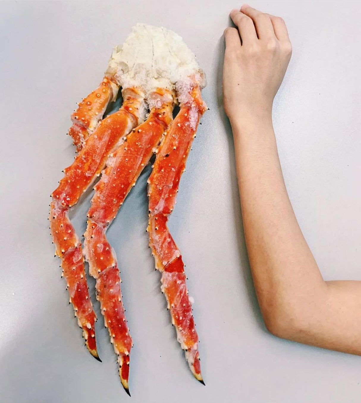 Japanese King Crab Leg, Tarabagani Ashi (Boiled) 5L - 900-1.1kg
