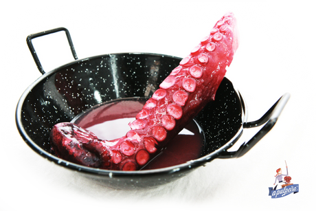 Fish, Squid & Octopus