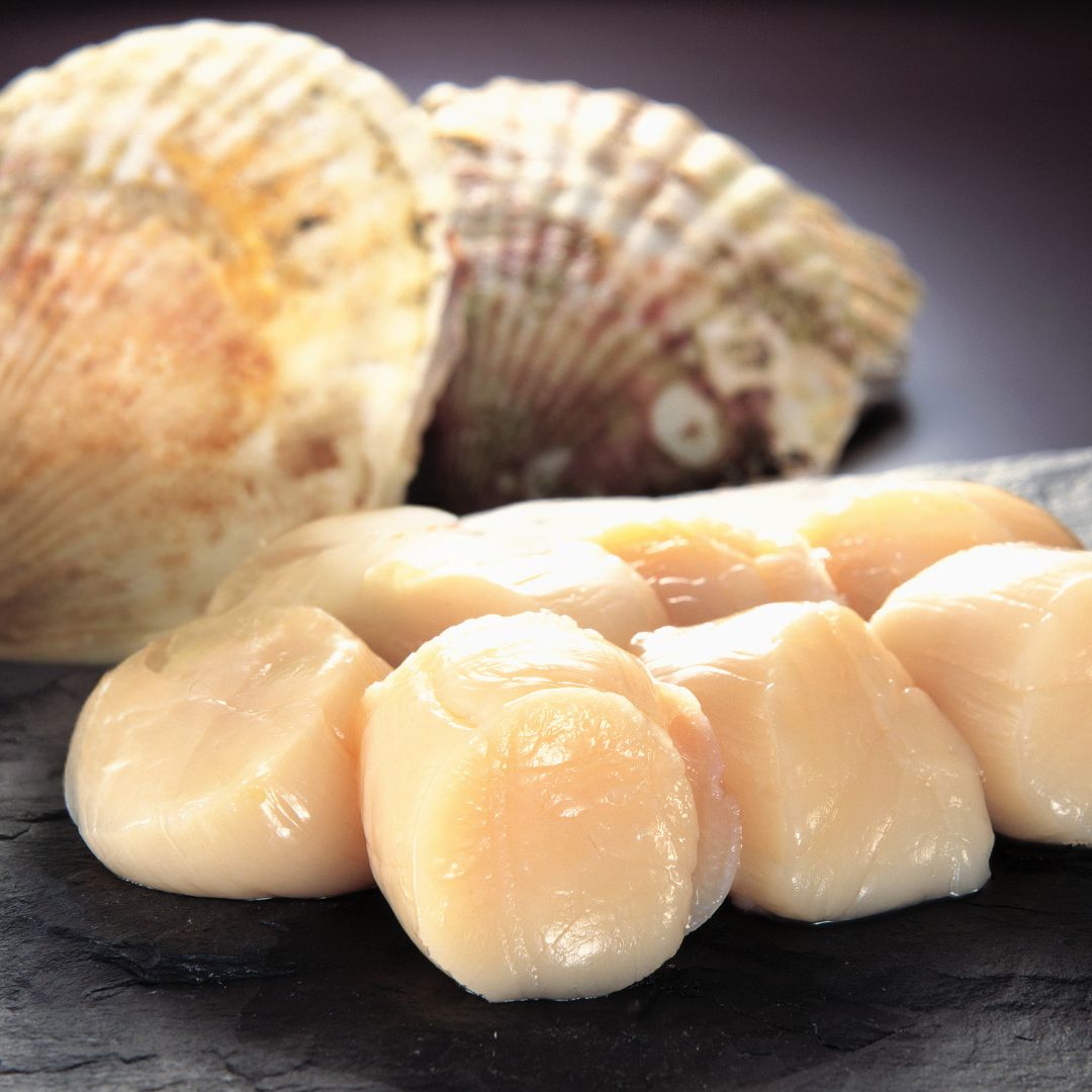 Japanese & Other Premium Shellfish ほたて、毛ガニやタラバガニ – Shiki Oishii
