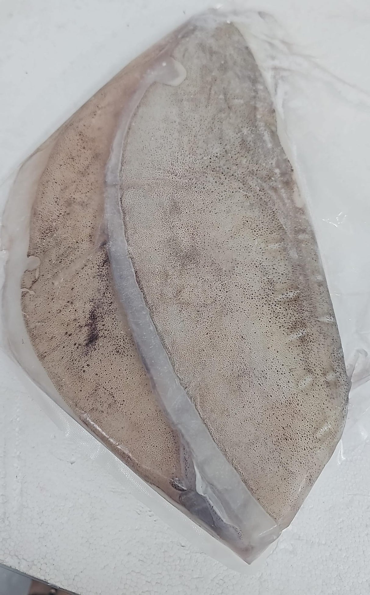 Aori Ika Ear (Squid Fin/Wing) 1KG