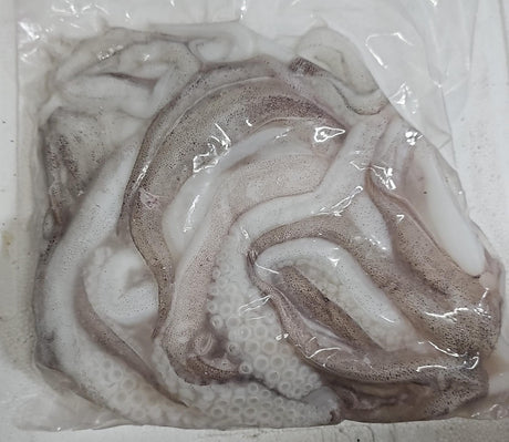 Aori Ika Leg (Bigfin Reef Squid Tentacles) – 1KG
