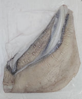 Aori Ika Ear (Squid Fin/Wing) 1KG