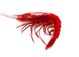 Spanish Carabinero Wild Prawn – (Heads Only)