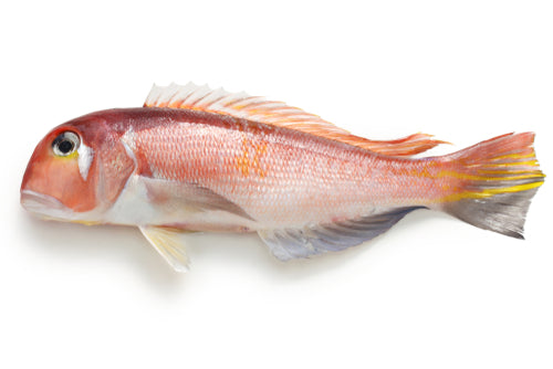 Frozen Amadai, Red Tilefish Fillet Scales-On (300-400g) - 2fillet/pk