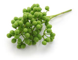 Flash Frozen Nama Sansho, Peppercorn 300g