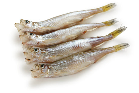 Frozen Japanese Shishamo, Willow Leaf Fish (8pc/pk)