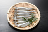 Frozen Japanese Shishamo, Willow Leaf Fish (8pc/pk)