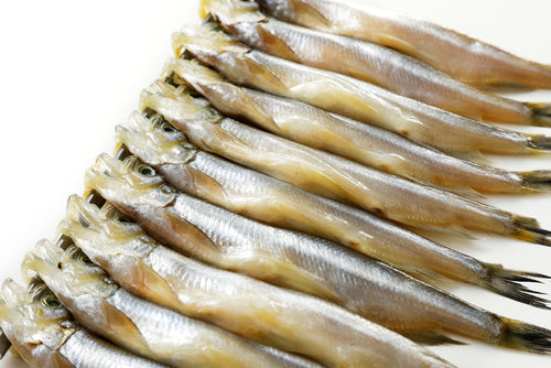Frozen Japanese Shishamo, Willow Leaf Fish (8pc/pk)