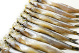 Frozen Japanese Shishamo, Willow Leaf Fish (8pc/pk)