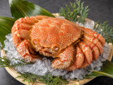 Hokkaido Kegani Crab (Horsehair Crab) 600-700g