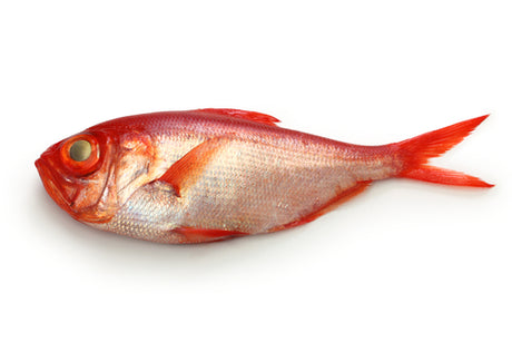 Kinmedai, Splendid Alfonsino - IQF Frozen (800g-1.2kg)