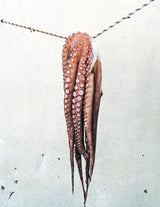 Octopus Leg, Hokkaido Octopus For Sashimi (400G-450G)