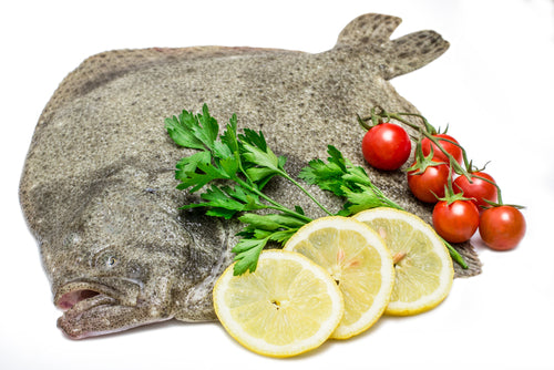 Spanish Turbot (1.5-2kg)