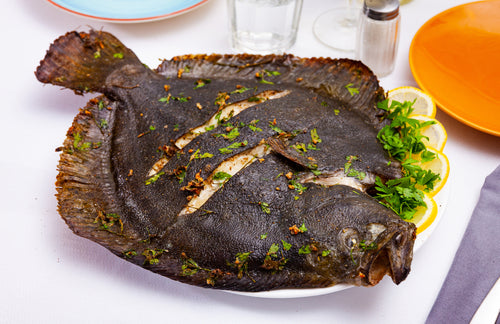 Spanish Turbot (1.5-2kg)