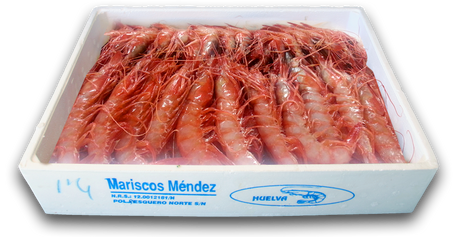 Spanish Atlantic Red Shrimp – Gamba Roja Atlantica (58/64) 800g