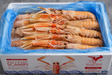 New Zealand Wild Caught Scampi – 2kg