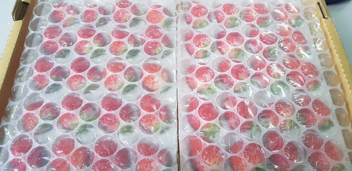 Kyushu Farmed Strawberry (Ichigo) 九州産 いちご 苺