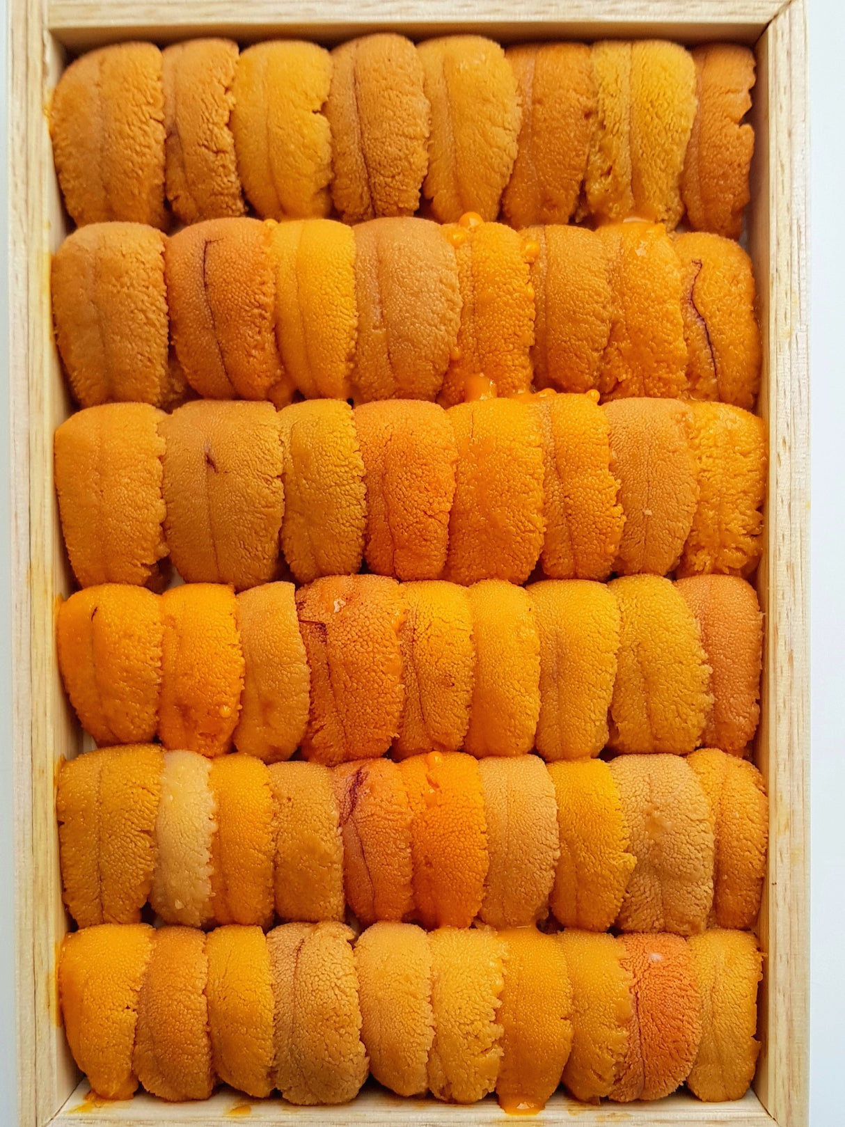 Shiki Singapore: Bafun Uni Narabi Yellow 250g Hokkaido Sea Urchin Auction grade Shiki SG. Order with us now for fresh seafood delivery!, Bafun Uni Narabi, Japanese seaurchin roe, toyosu auctions, delivery, Uni delivery, Uni straight pattern. Bafun Uni, Sea Urchin Roe, Straight Pattern Sea Urchin, Ogawa, Tomi, Hiryu, Marukyo, Masaki, Kaneta,