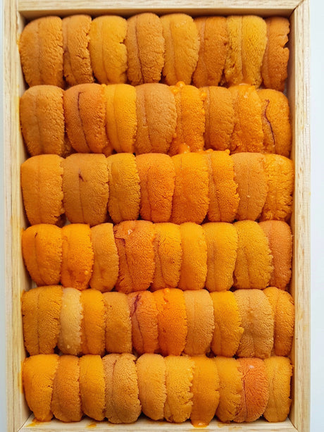 Shiki Singapore: Bafun Uni Narabi Yellow 250g Hokkaido Sea Urchin Auction grade Shiki SG. Order with us now for fresh seafood delivery!, Bafun Uni Narabi, Japanese seaurchin roe, toyosu auctions, delivery, Uni delivery, Uni straight pattern. Bafun Uni, Sea Urchin Roe, Straight Pattern Sea Urchin, Ogawa, Tomi, Hiryu, Marukyo, Masaki, Kaneta,