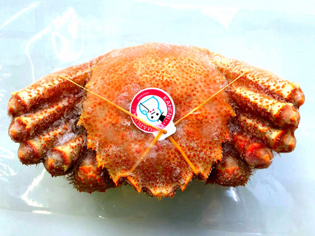 Frozen Whole Boiled Hokkaido Premium Kegani (Horse Hair Crab)